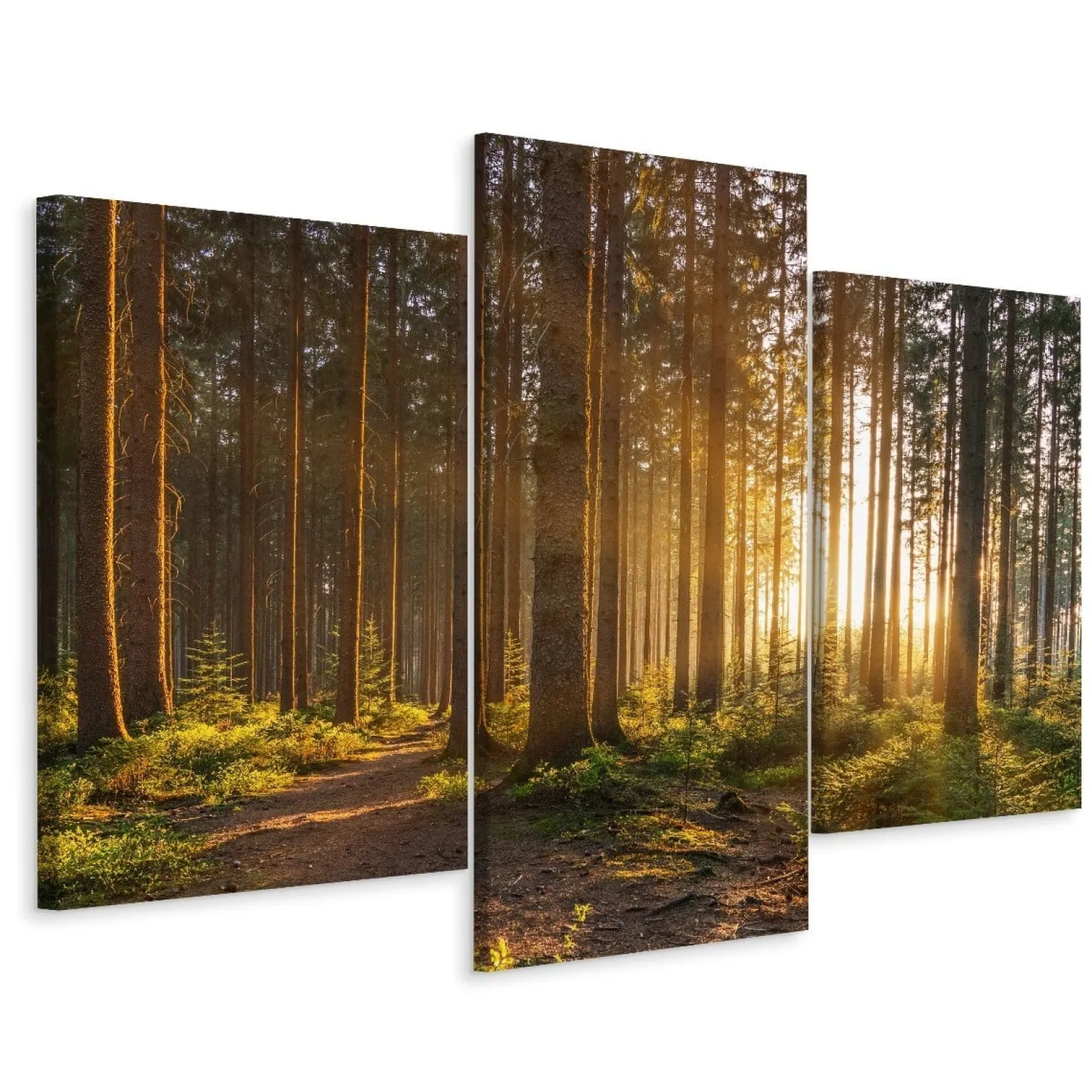 Obraz 3-Częściowy DRZEWA Zachód Słońca 3D 60x40cm
