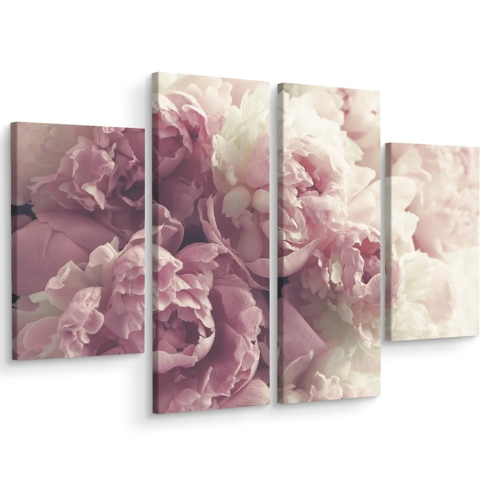 Obraz 4 Częściowy Kwitnące PEONIE Kwiaty 80x60cm