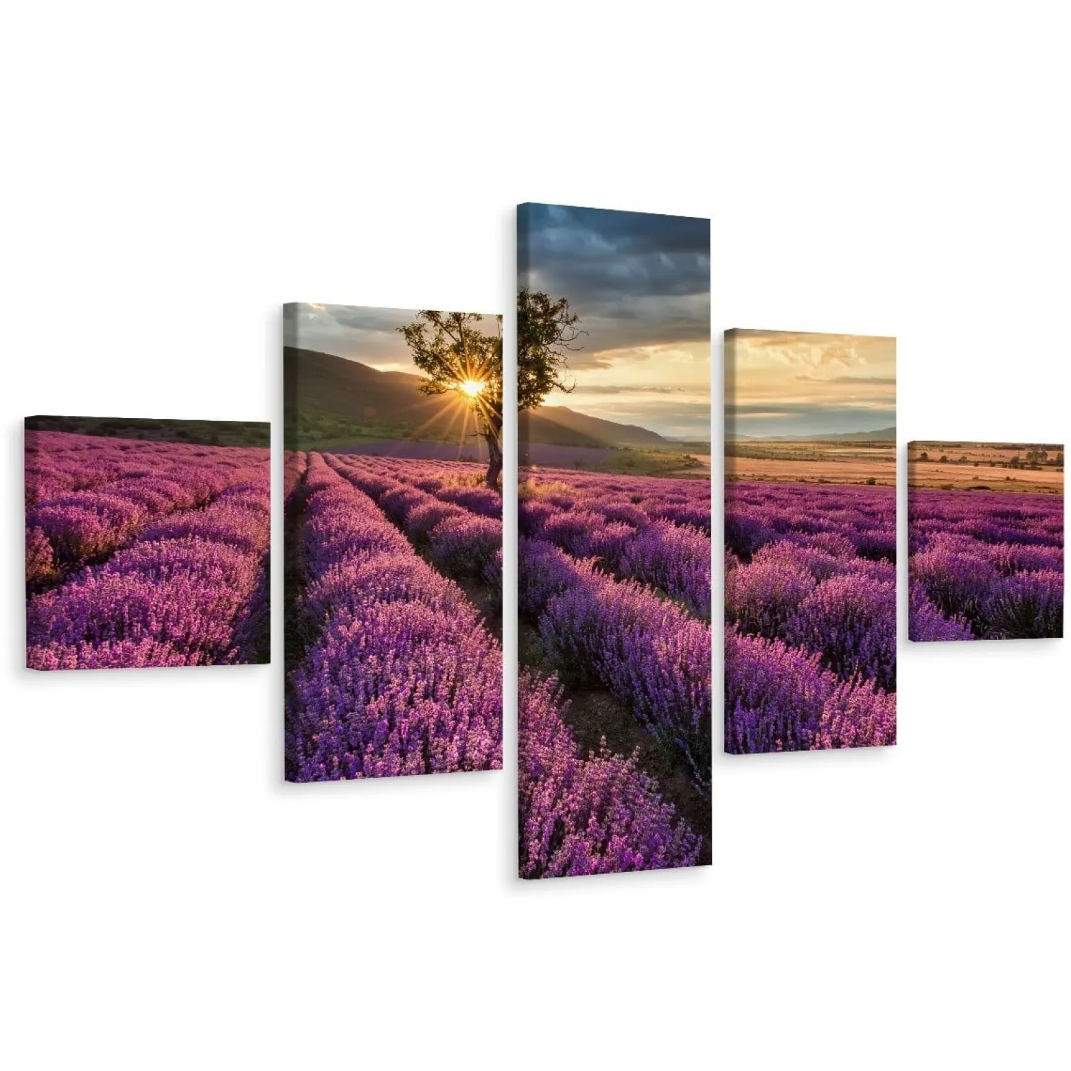 Obraz 5-Częściowy Widok Na Pole Lawendy Pejzaż 3D 150x90cm