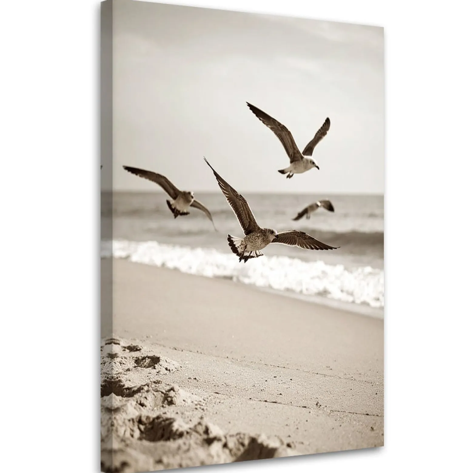 Obraz do salonu kuchni biura, Mewy ptaki morze plaża natura 20x30