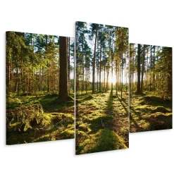 Obraz Tryptyk LEŚNY PEJZAŻ Słońce Efekt 3D 60x40cm