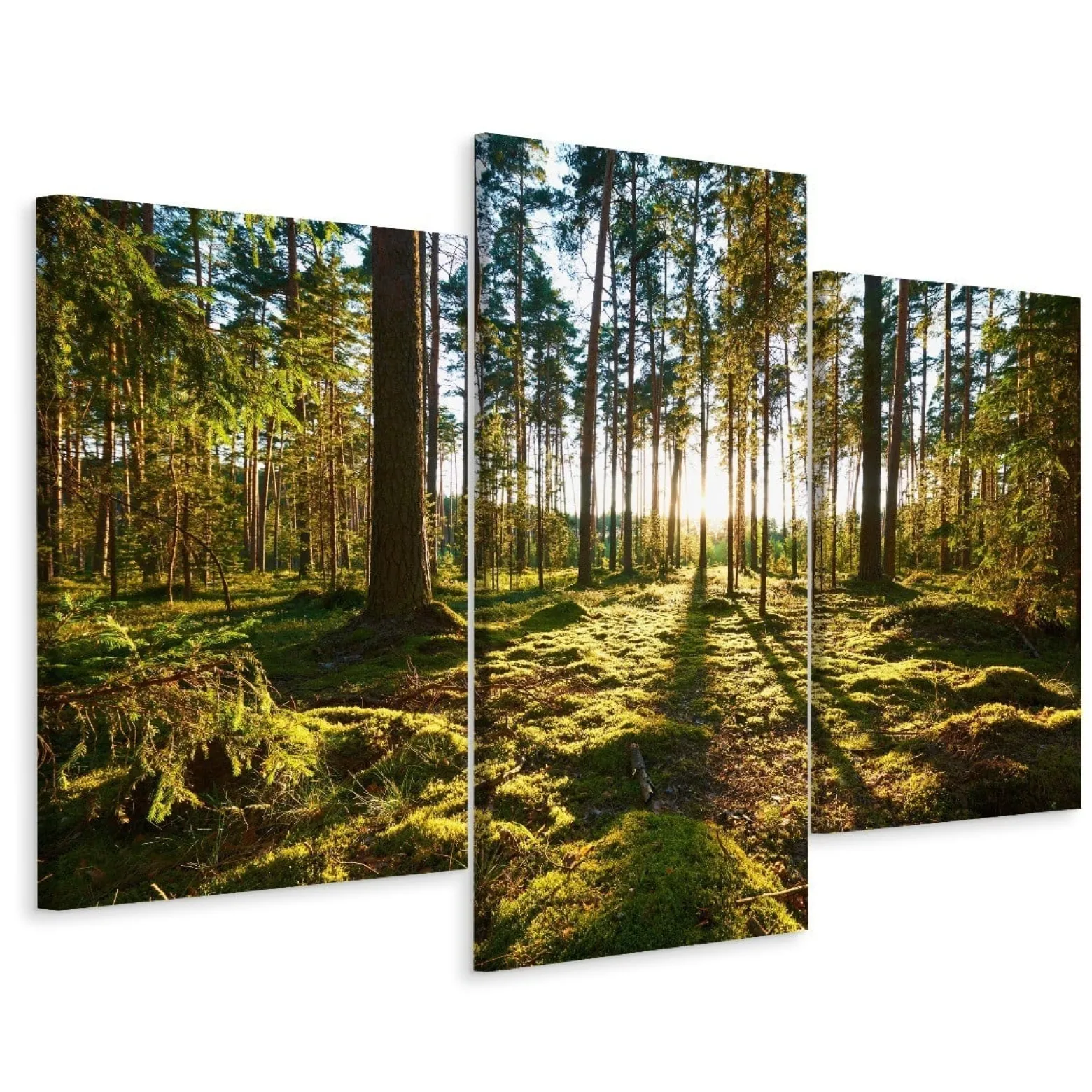 Obraz Tryptyk LEŚNY PEJZAŻ Słońce Efekt 3D 60x40cm