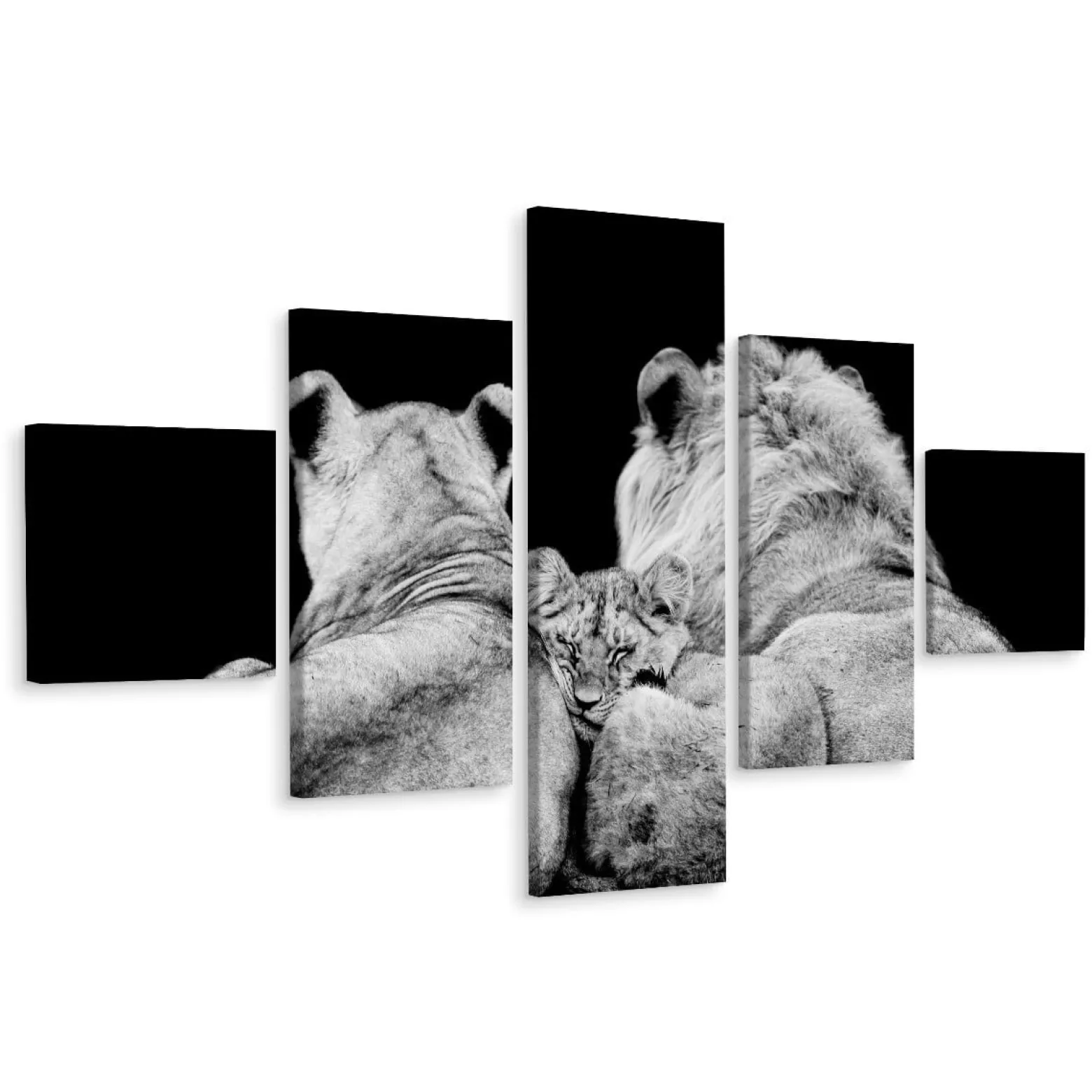 Obraz Wieloczęściowy LWY Zwierzęta Natura 3D 150x90cm