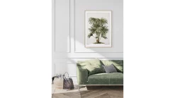 Obraz w ramie Cabbage - Tree Palm 53x73 cm