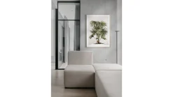 Obraz w ramie Cabbage - Tree Palm 53x73 cm