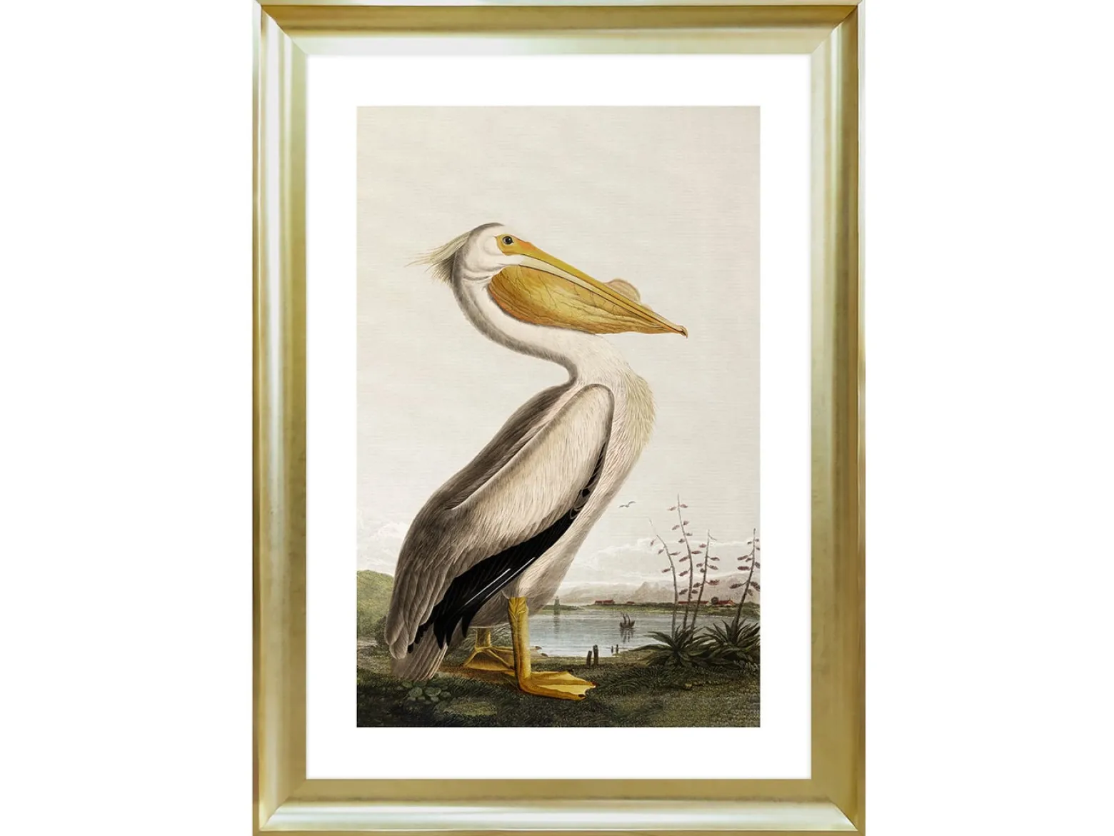Obraz w ramie Pelican Over The Water 58x68 cm