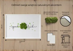 Obraz z mchem - 