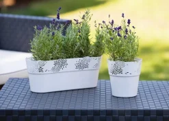 Osłonka ażurowa kremowa Aster 13 cm