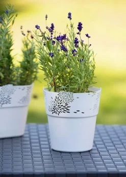 Osłonka ażurowa kremowa Aster 13 cm