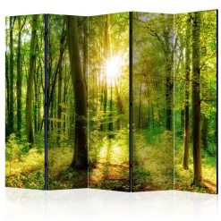 Parawan Jednostronny Promienie lasu 225x172cm
