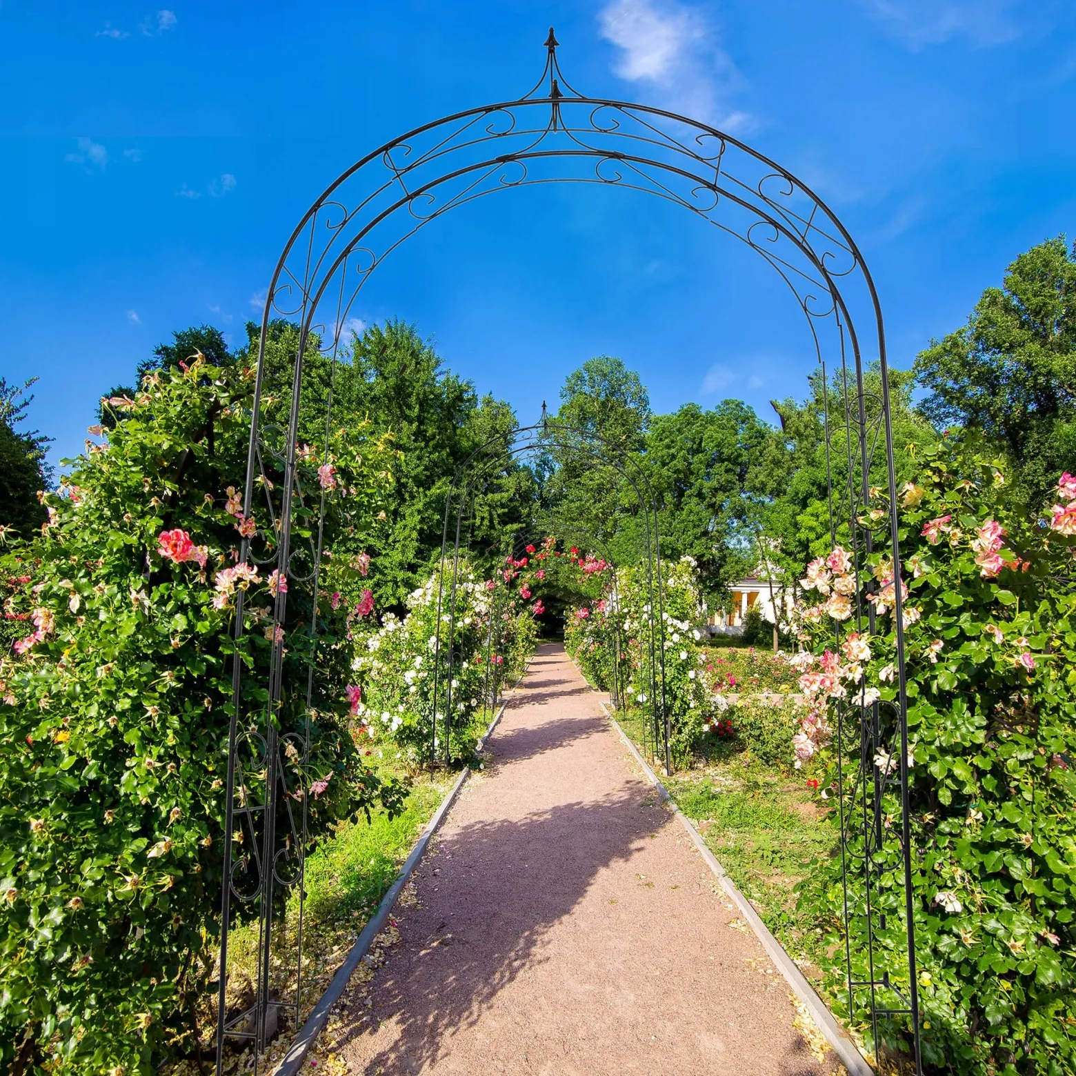 Pergola Ogrodowa Metalowa Łuk Na Kwiaty Róże 281cm