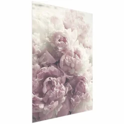 Plakat Delikatne piwonie 21x30 cm