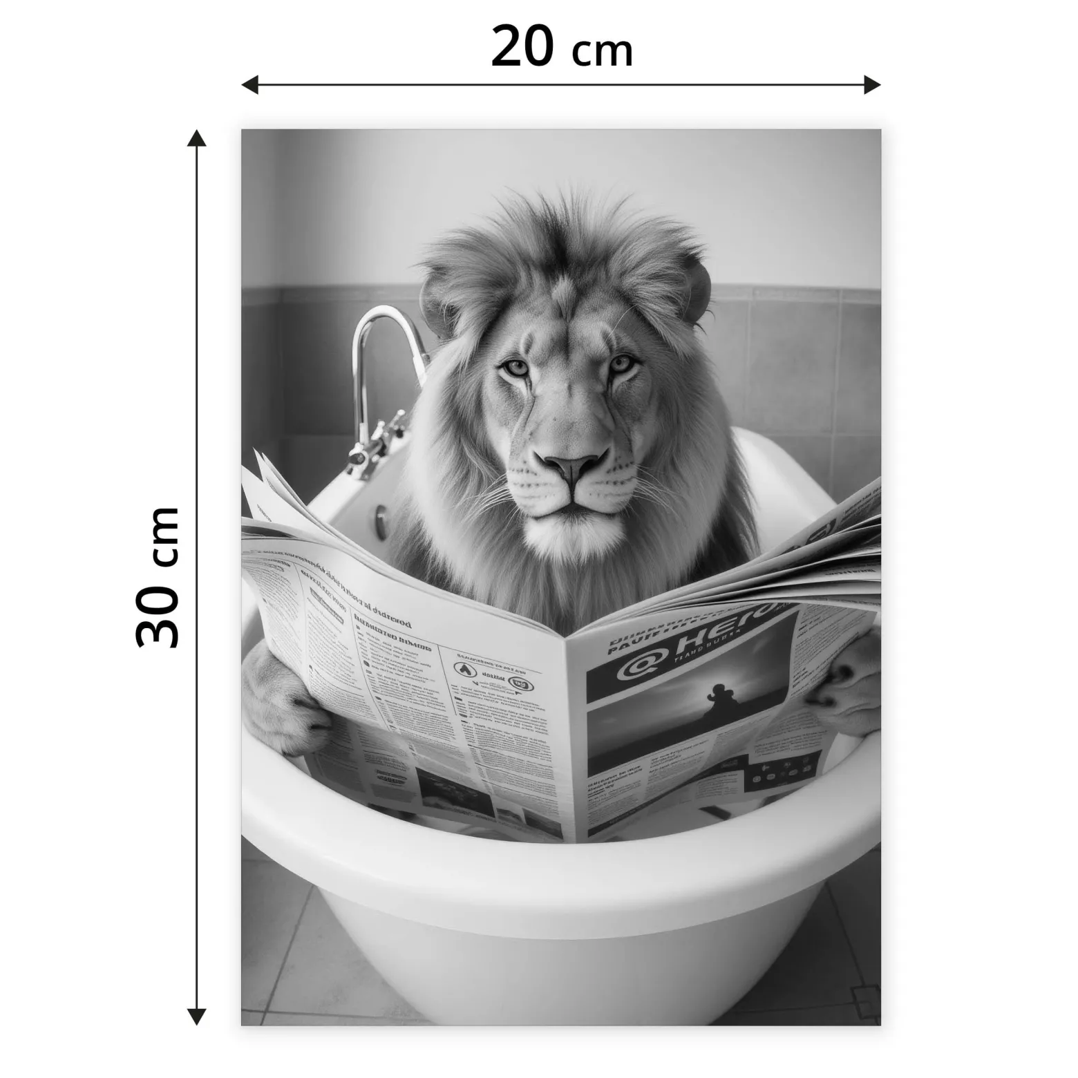 Plakat Lew we wannie 20x30cm