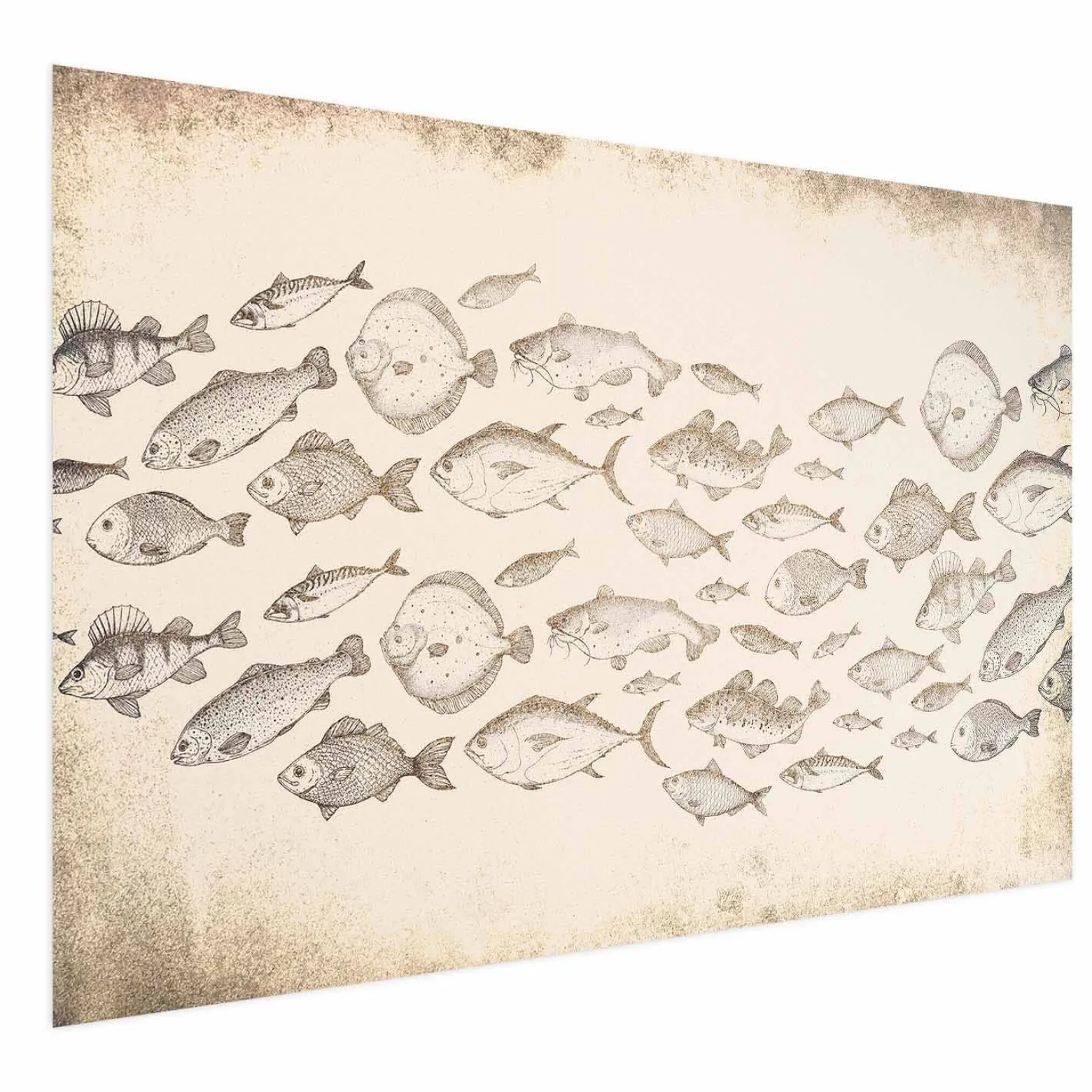 Plakat Subtelne rybki 60x40 cm