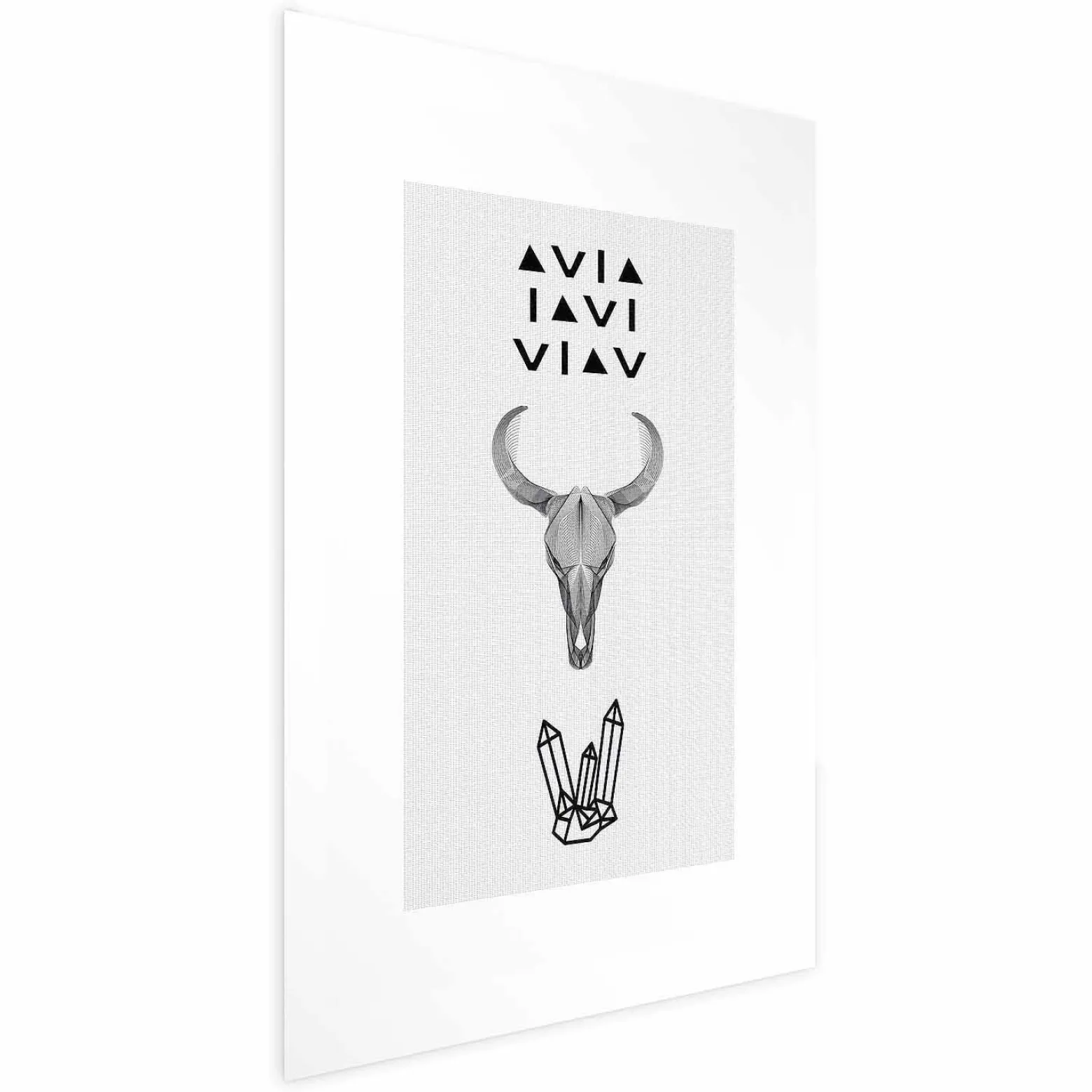 Plakat Zwierzęca czaszka 21x30 cm