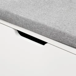 SoBuy Ławka z pojemnikiem na buty z 2 drzwiami Biały 105x24x52cm FSR151-L-W