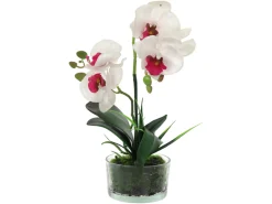 Sztuczna orchidea w doniczce 33 cm biała