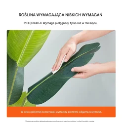 Sztuczna palma 150 cm