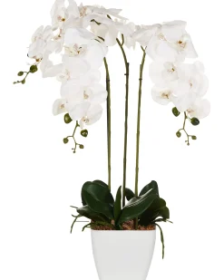 Sztuczna roślina biała orchidea w doniczce 59 cm