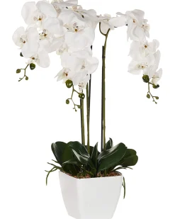 Sztuczna roślina biała orchidea w doniczce 59 cm