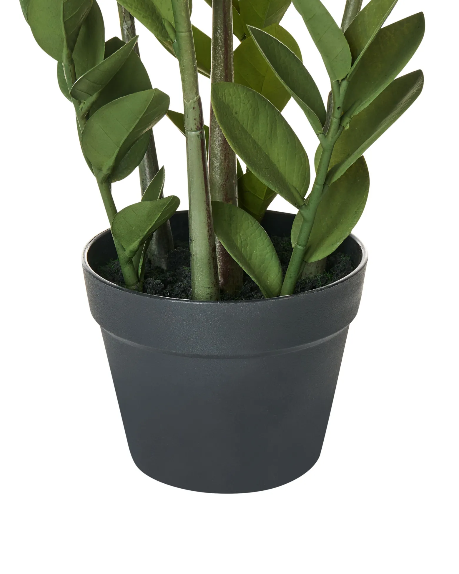Sztuczna roślina ZAMIIFOLIA 76 cm Zielony