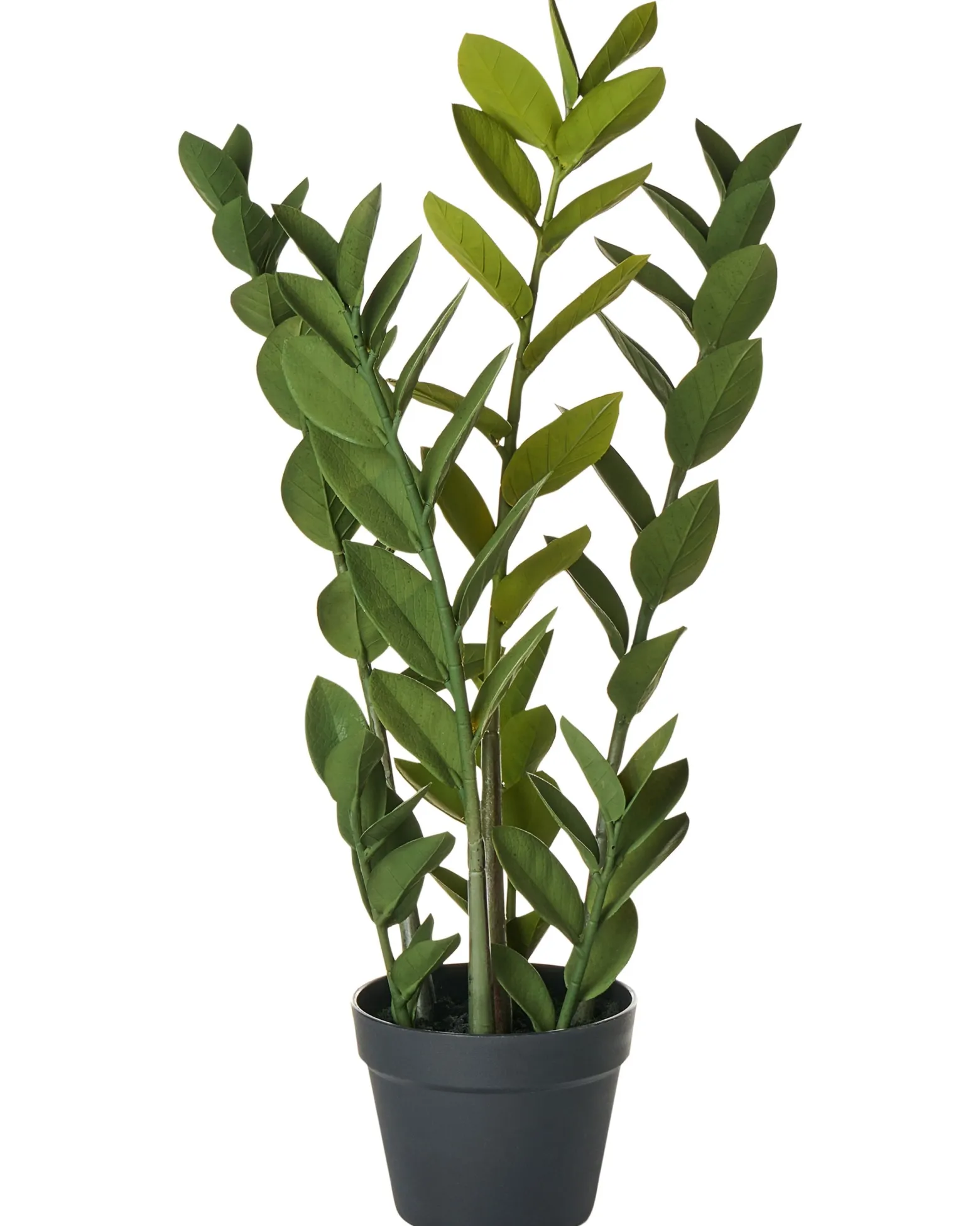 Sztuczna roślina ZAMIIFOLIA 76 cm Zielony
