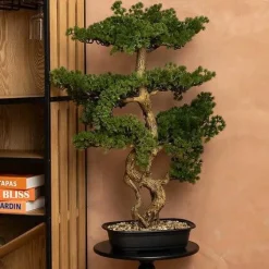 Sztuczne DRZEWKO BONSAI 86 cm w czarnej ceramicznej donicy