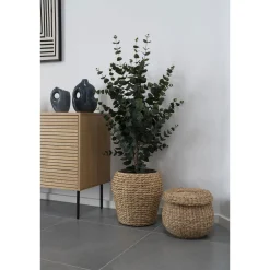 Sztuczne DRZEWKO EUKALIPTUS 120 cm w donicy z cementu