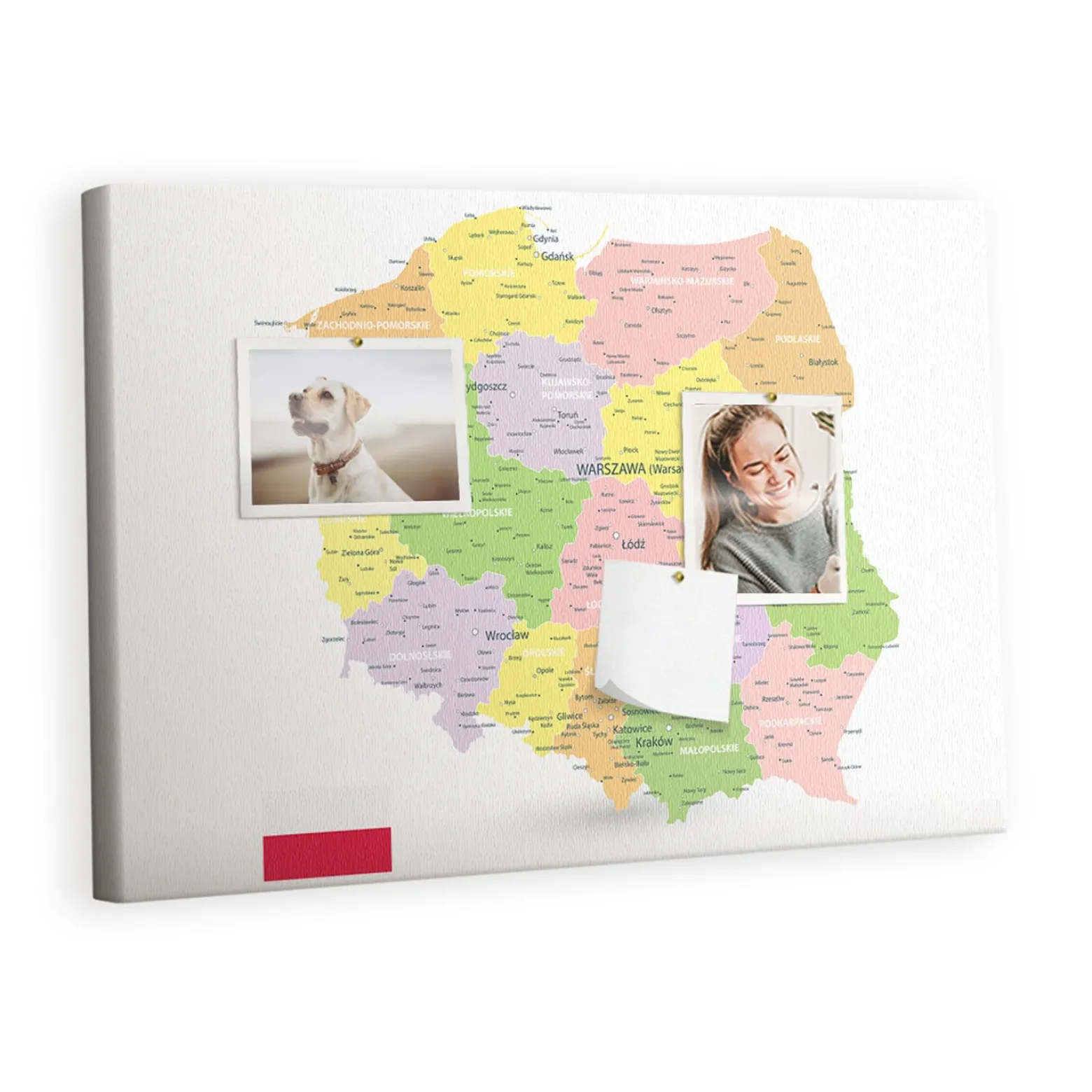 Tablica korkowa z nadrukiem do pokoju dziecka + pinezki Mapa