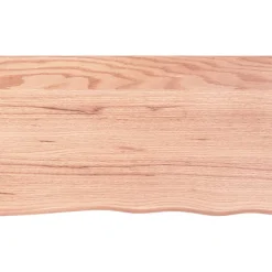 VidaXL Półka brązowa 100x60x(2-4) cm