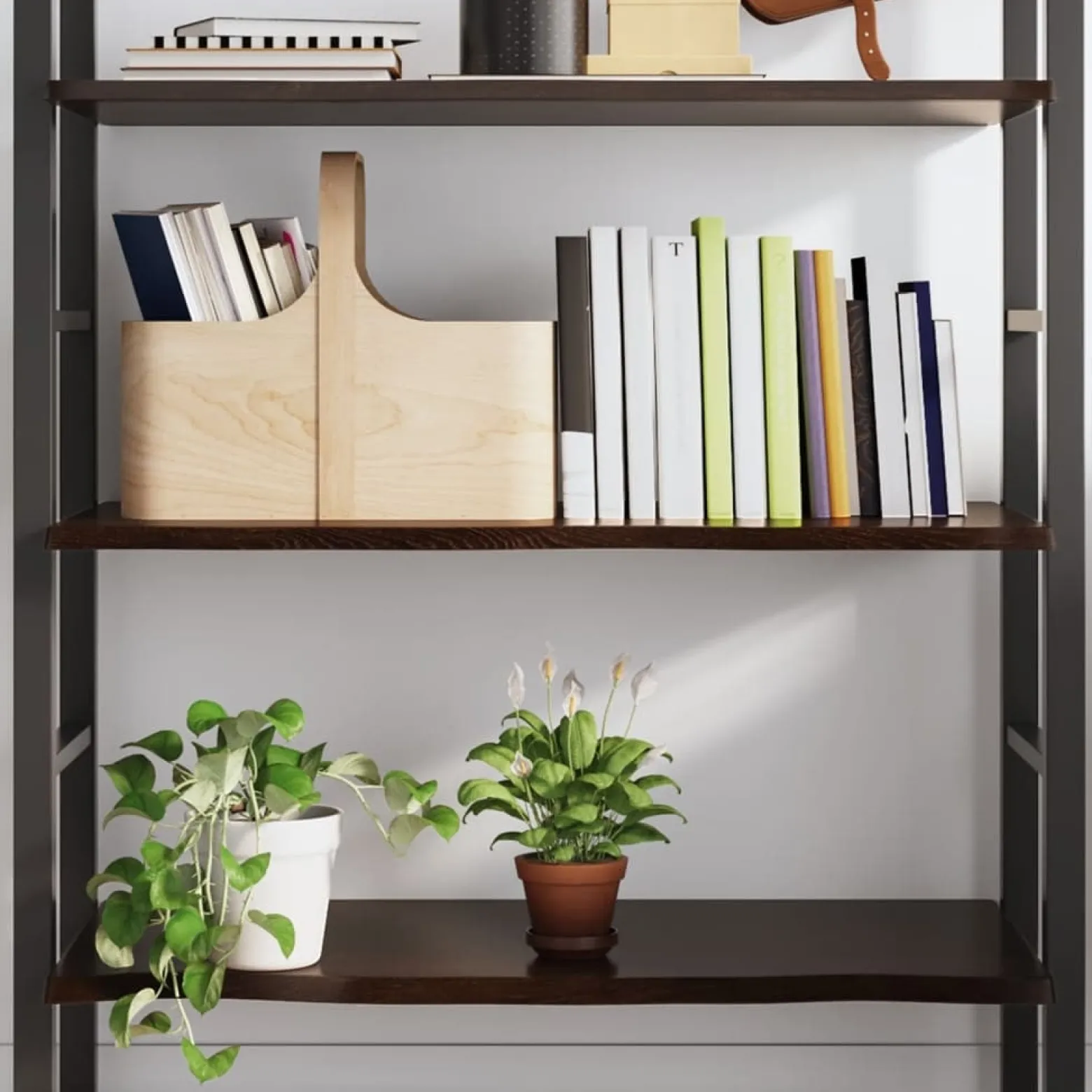 VidaXL Półka ciemnobrązowa 100x60x2 cm wykończone