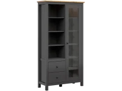 Witryna Hesen 106 cm z drzwiami i 2 szufladami grafitowa