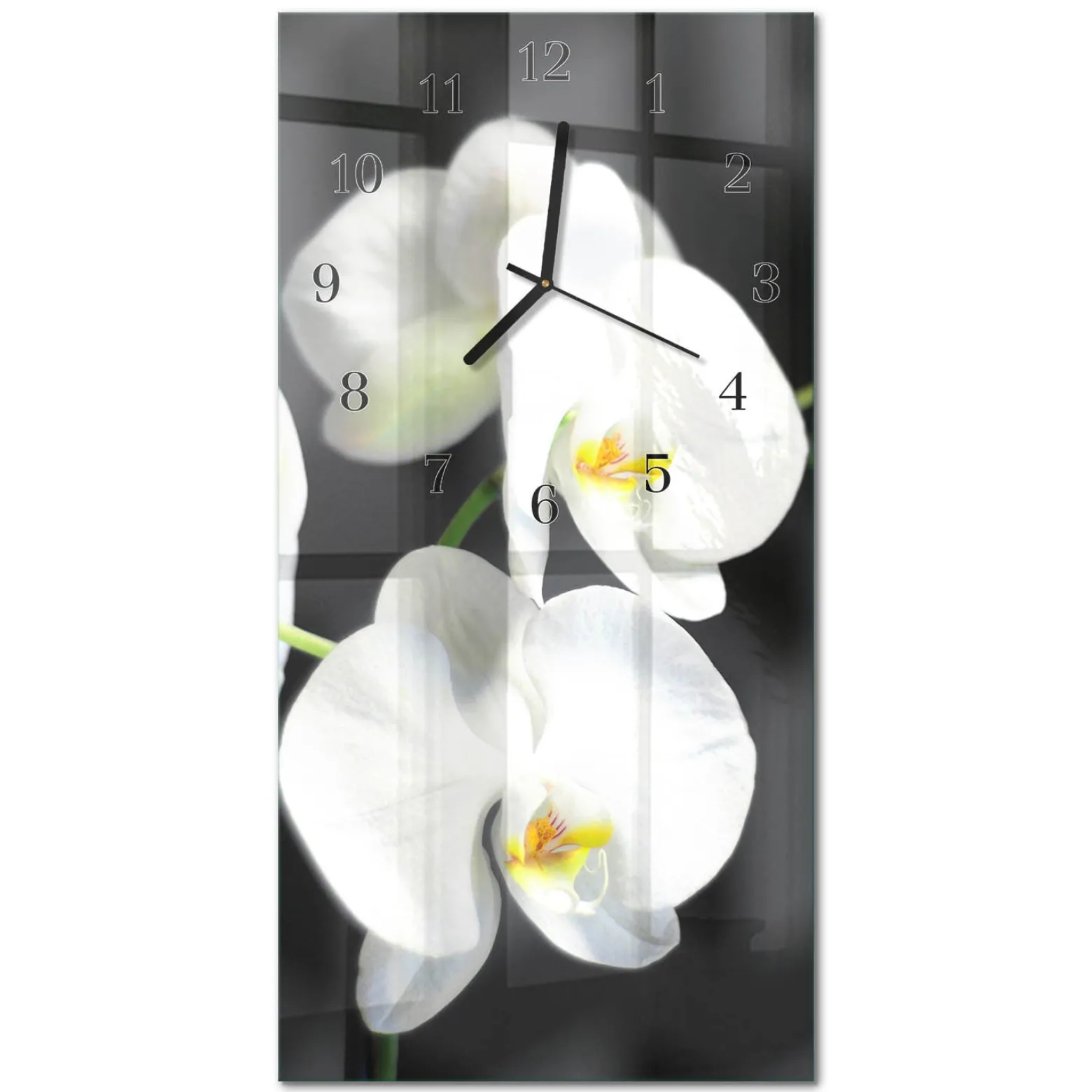 Zegar na ścianę 30x60 Orchidea szklany ścienny