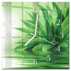 Zegar szklany 30x30 Aloes dekoracyjny na ścianę