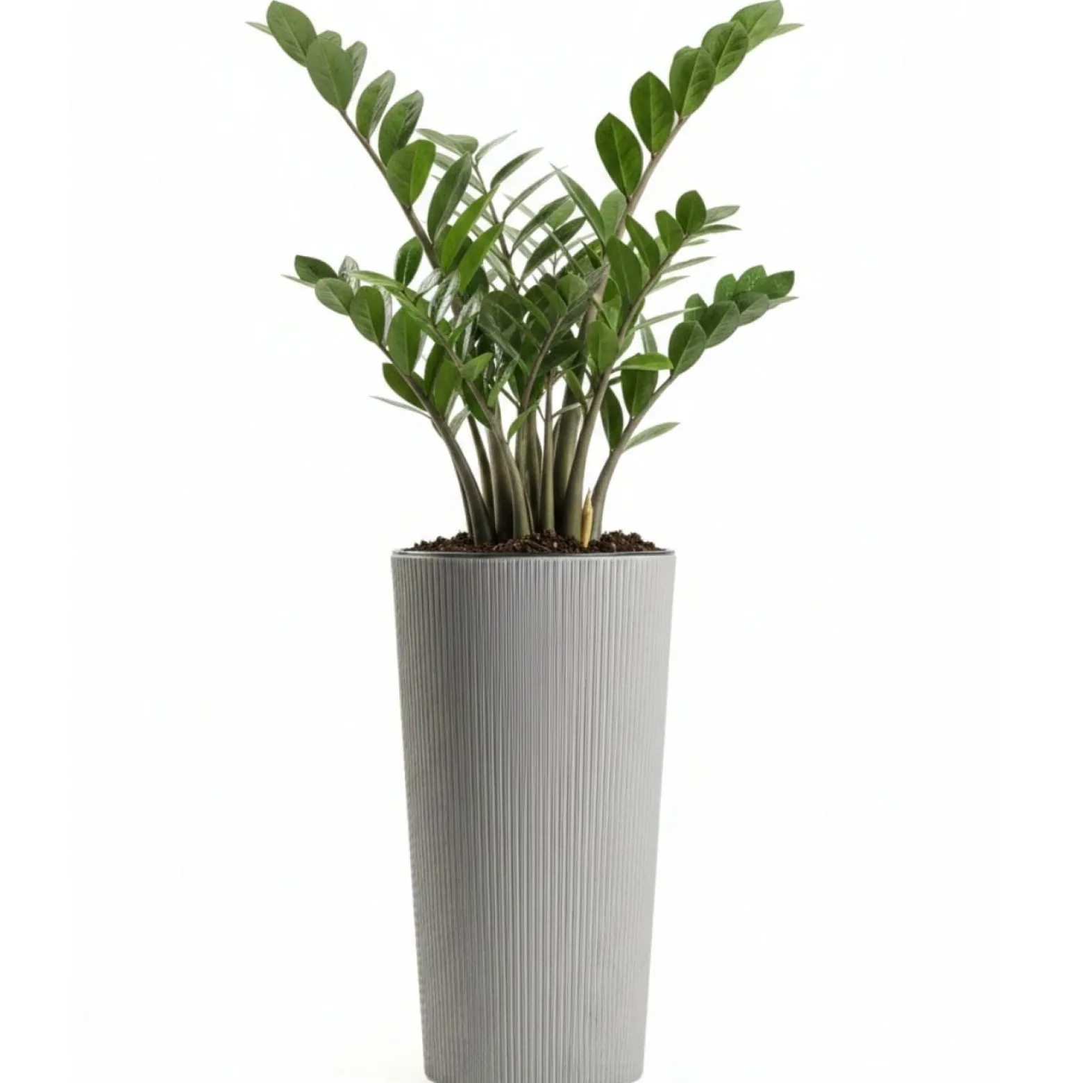 Zestaw donic URBANIKA ECO wood szare 3 szt